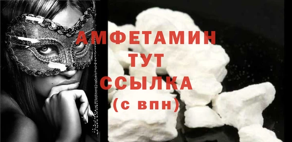 индика Вяземский