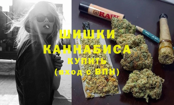 твердый Горняк