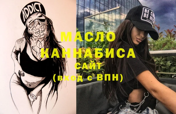 индика Вяземский